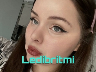 Ledibritmi