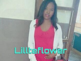 Lillteflower