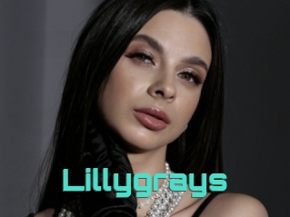 Lillygrays