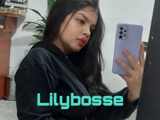 Lilybosse