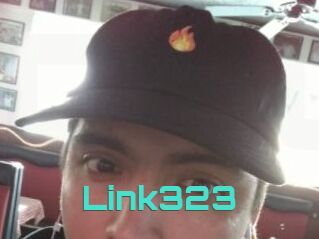 Link323