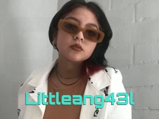 Littleang43l