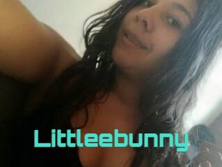 Littleebunny