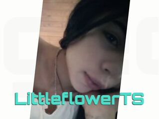 LittleflowerTS