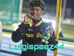 Luigispaez44