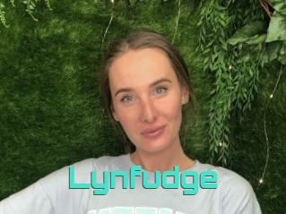 Lynfudge