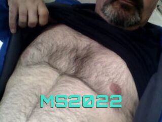 MS2022