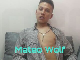 Mateo_Wolf