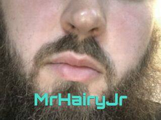 MrHairyJr