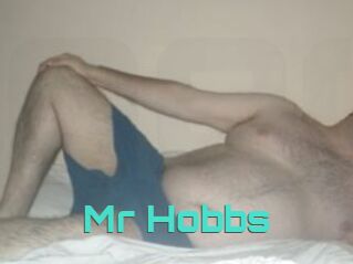 Mr_Hobbs