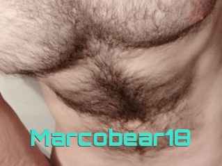 Marcobear18