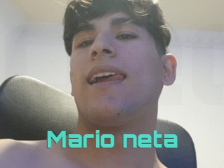 Mario_neta