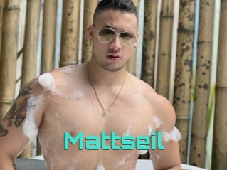 Mattseil