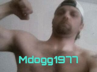 Mdogg1977