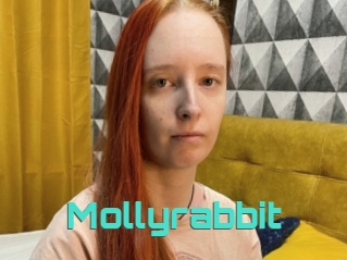 Mollyrabbit