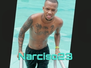 Narciso23