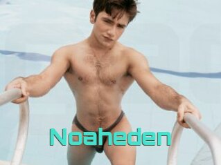 Noaheden