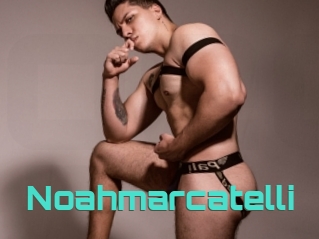 Noahmarcatelli