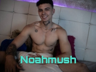 Noahmush