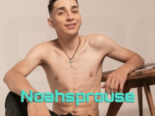 Noahsprouse