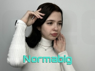 normabig Grizzli Edition