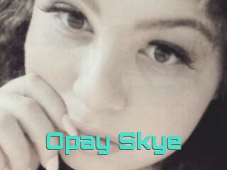 Opay_Skye