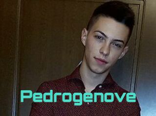 Pedrogenove