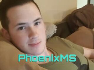 PhoenixMS