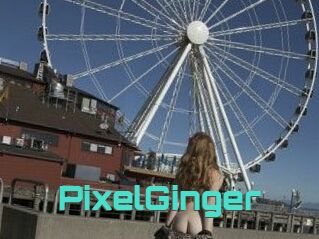 PixelGinger