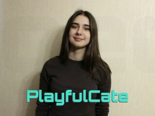 PlayfulCate