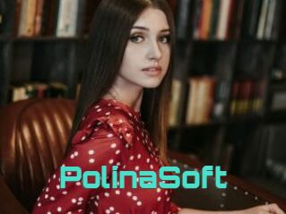 PolinaSoft