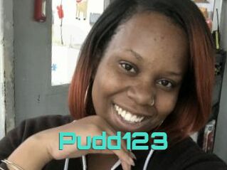 Pudd123