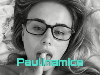 Paulinamice