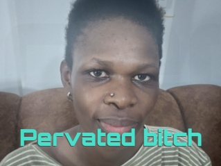 Pervated_bitch