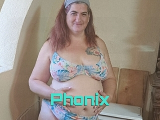 phonix Grizzli Edition