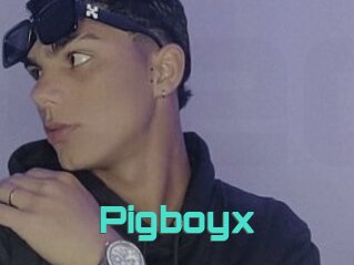 Pigboyx