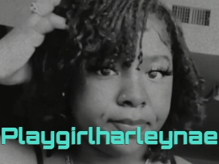 playgirlharleynae Grizzli Edition