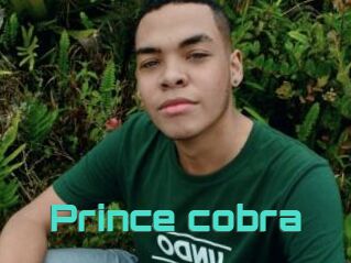 Prince_cobra