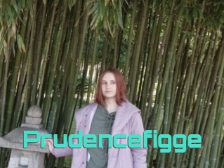 Prudencefigge