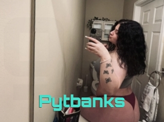 Pytbanks