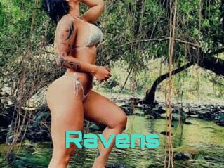 Ravens