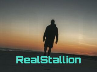 RealStallion