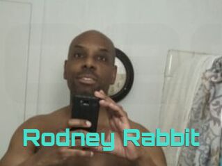 Rodney_Rabbit