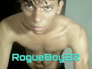 RogueBoy22