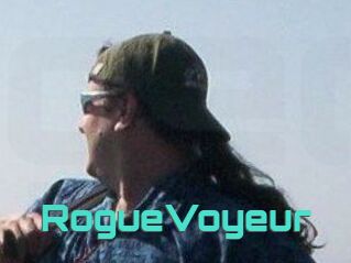 RogueVoyeur