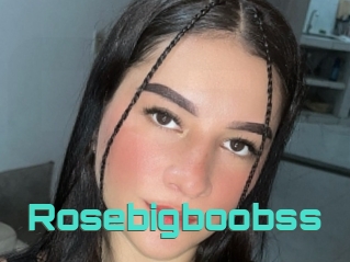 Rosebigboobss