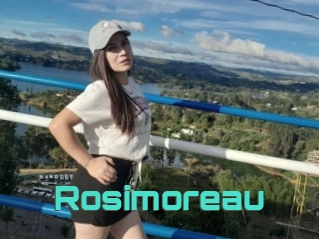 Rosimoreau