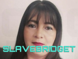 SLAVEBRIDGET