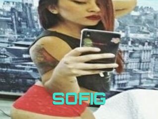 SOFI_G