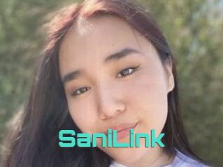 SaniLink